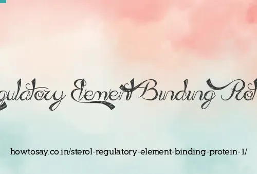 Sterol Regulatory Element Binding Protein 1