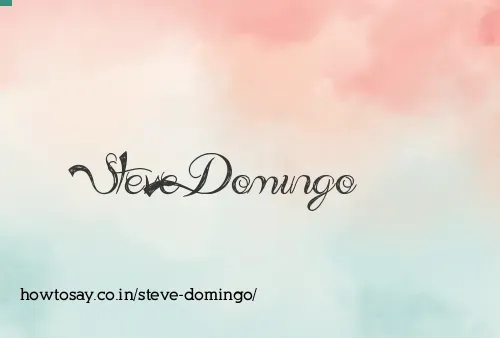 Steve Domingo