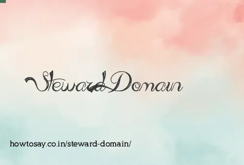 Steward Domain