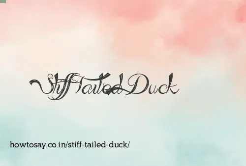 Stiff Tailed Duck