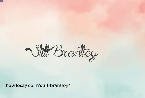 Still Brantley