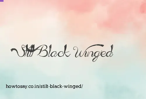Stilt Black Winged