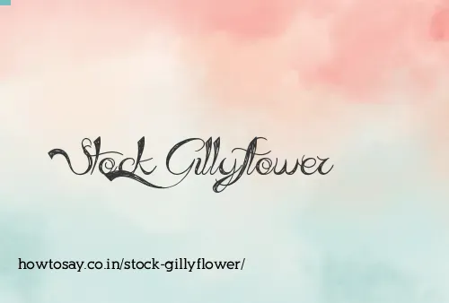 Stock Gillyflower