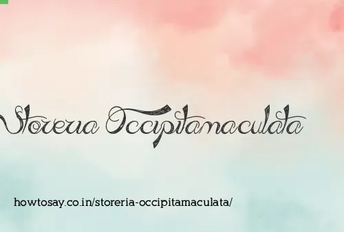 Storeria Occipitamaculata