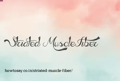 Striated Muscle Fiber