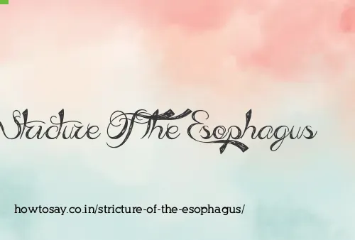 Stricture Of The Esophagus