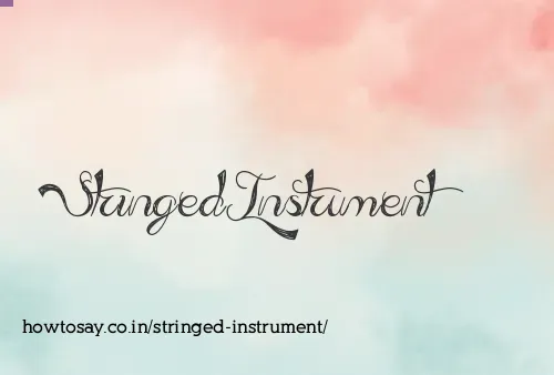 Stringed Instrument
