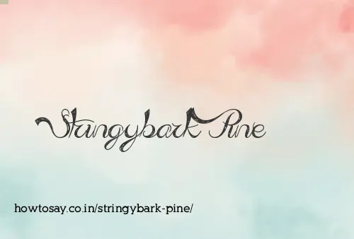 Stringybark Pine
