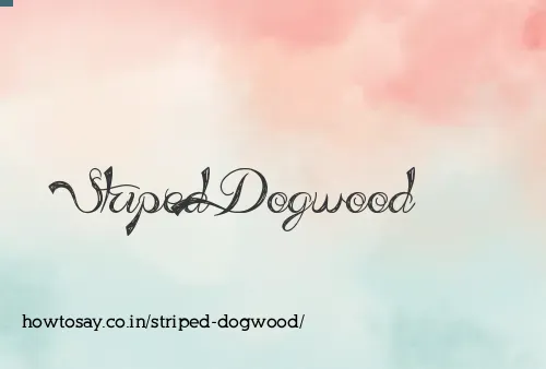 Striped Dogwood