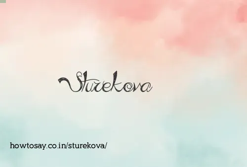 Sturekova