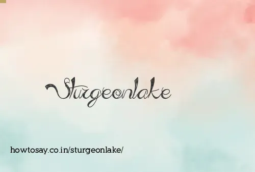 Sturgeonlake