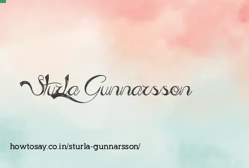 Sturla Gunnarsson