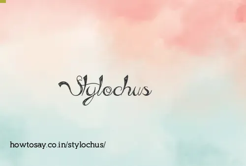Stylochus