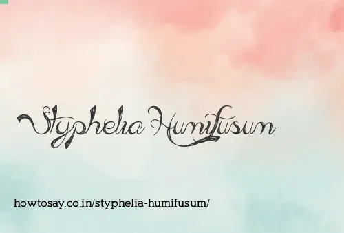 Styphelia Humifusum