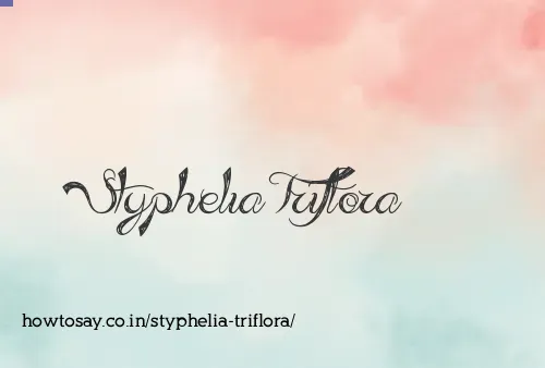 Styphelia Triflora