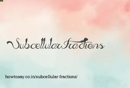 Subcellular Fractions