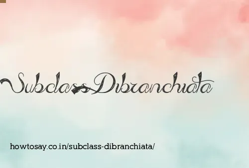Subclass Dibranchiata