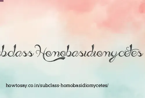 Subclass Homobasidiomycetes