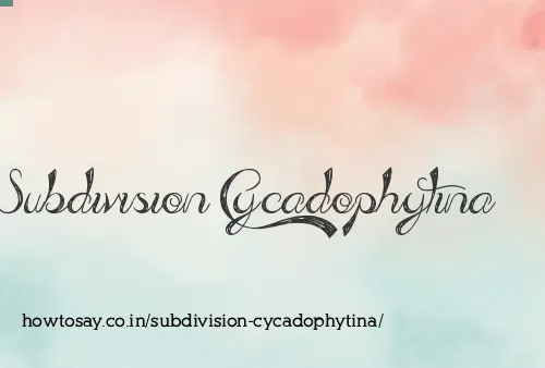 Subdivision Cycadophytina