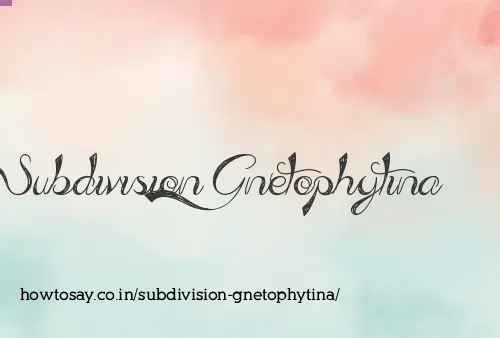 Subdivision Gnetophytina