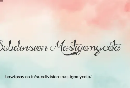 Subdivision Mastigomycota