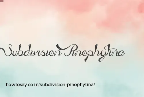 Subdivision Pinophytina