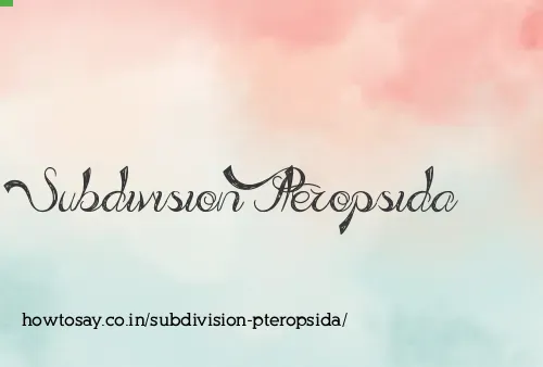 Subdivision Pteropsida
