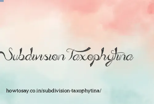 Subdivision Taxophytina