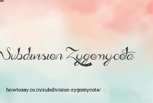Subdivision Zygomycota