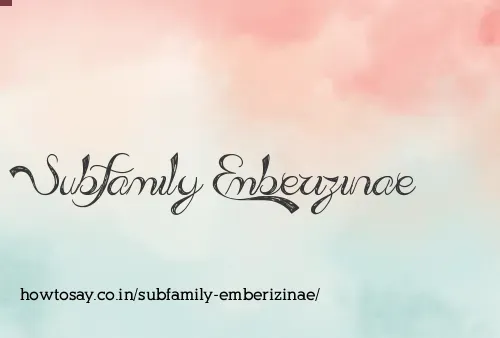Subfamily Emberizinae