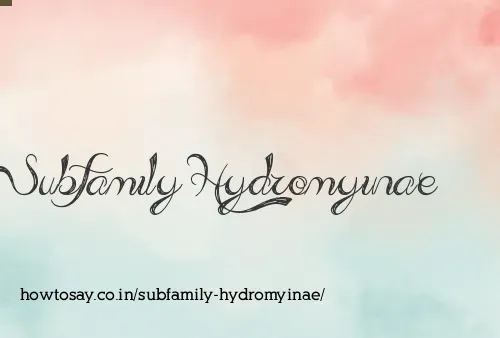 Subfamily Hydromyinae