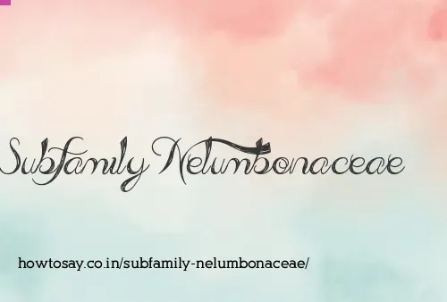Subfamily Nelumbonaceae