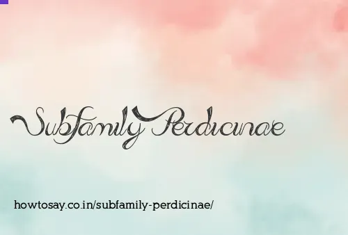 Subfamily Perdicinae