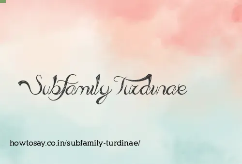 Subfamily Turdinae