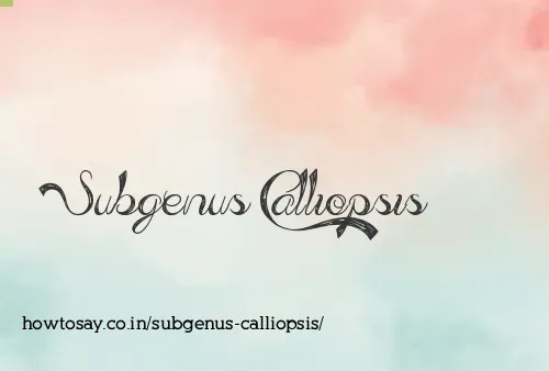 Subgenus Calliopsis