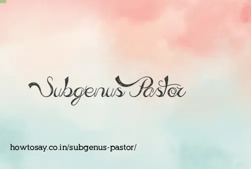 Subgenus Pastor