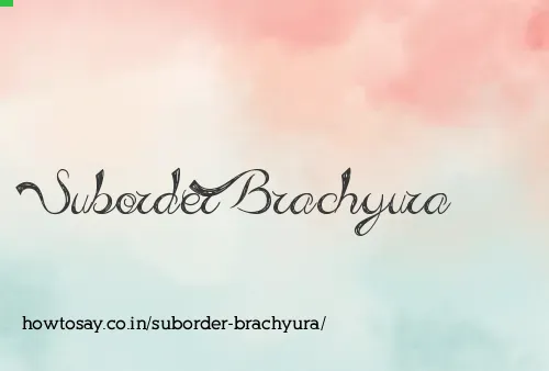 Suborder Brachyura