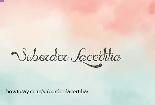 Suborder Lacertilia