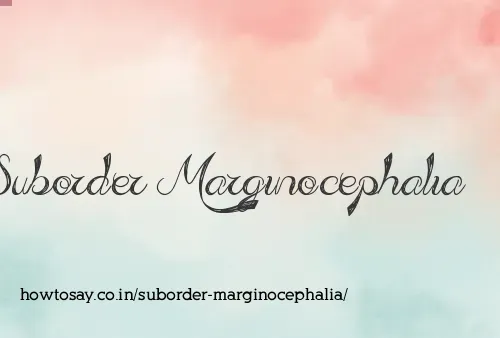 Suborder Marginocephalia
