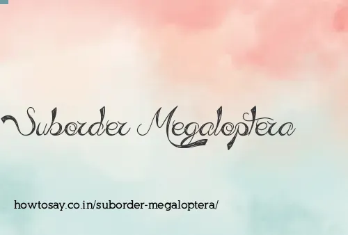 Suborder Megaloptera