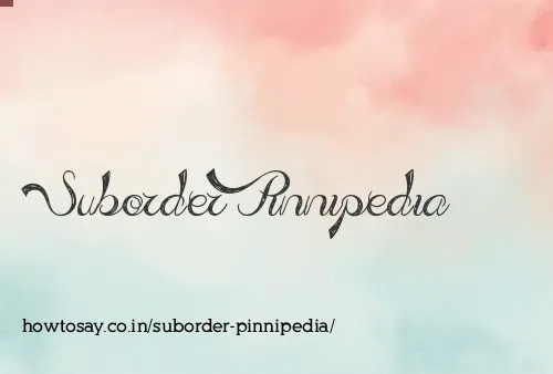 Suborder Pinnipedia