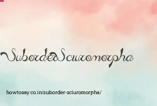 Suborder Sciuromorpha