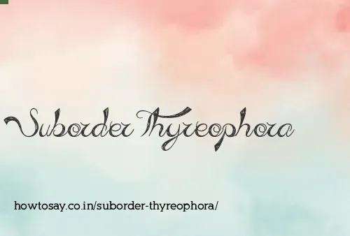 Suborder Thyreophora