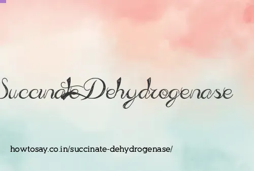 Succinate Dehydrogenase