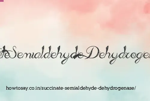 Succinate Semialdehyde Dehydrogenase