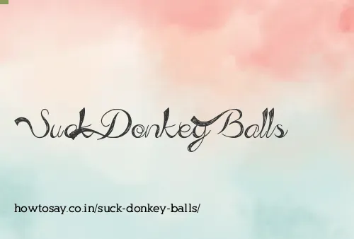 Suck Donkey Balls
