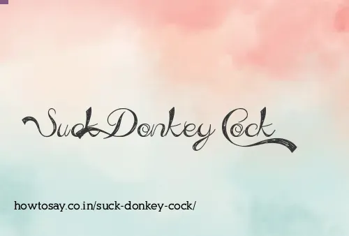 Suck Donkey Cock