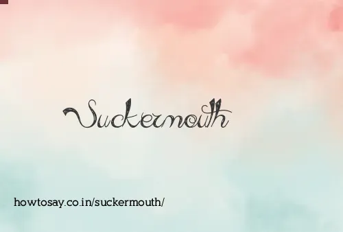 Suckermouth