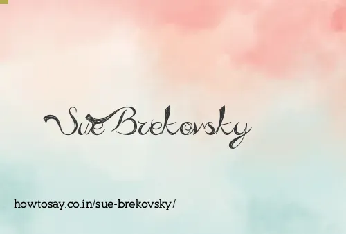 Sue Brekovsky