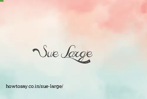 Sue Large